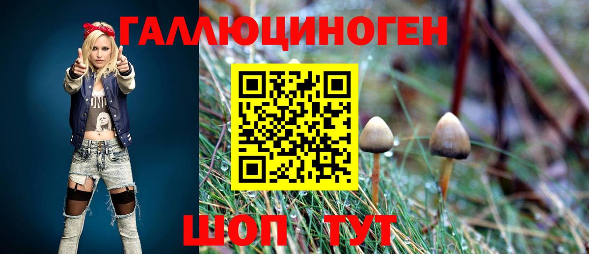 Балашиха  Псилоцибиновые грибы Magic Shrooms  Вход с VPN  Галлюциногенные грибы мицелий 